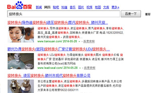 百度搜索結果中前面的圖片是怎么做到的？